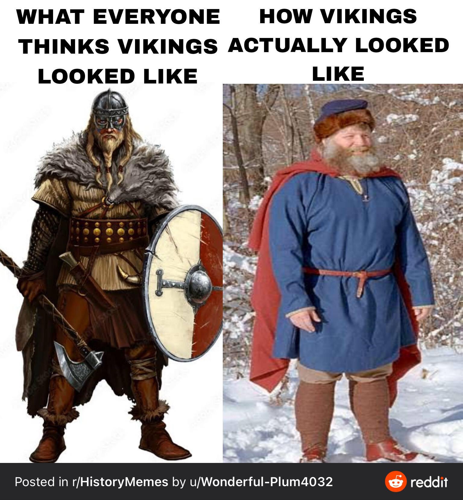 viking meme