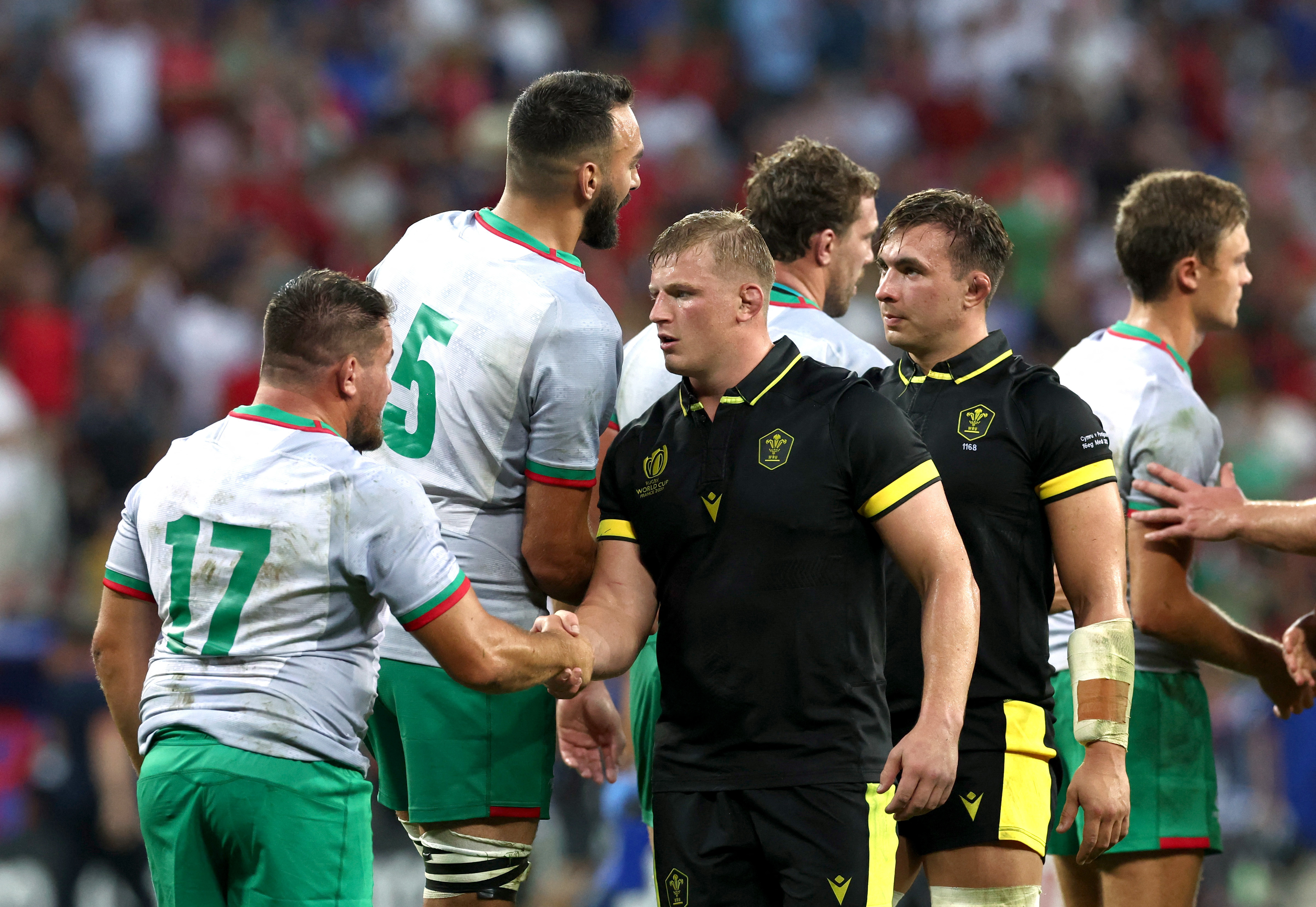 wales v portugal rugby