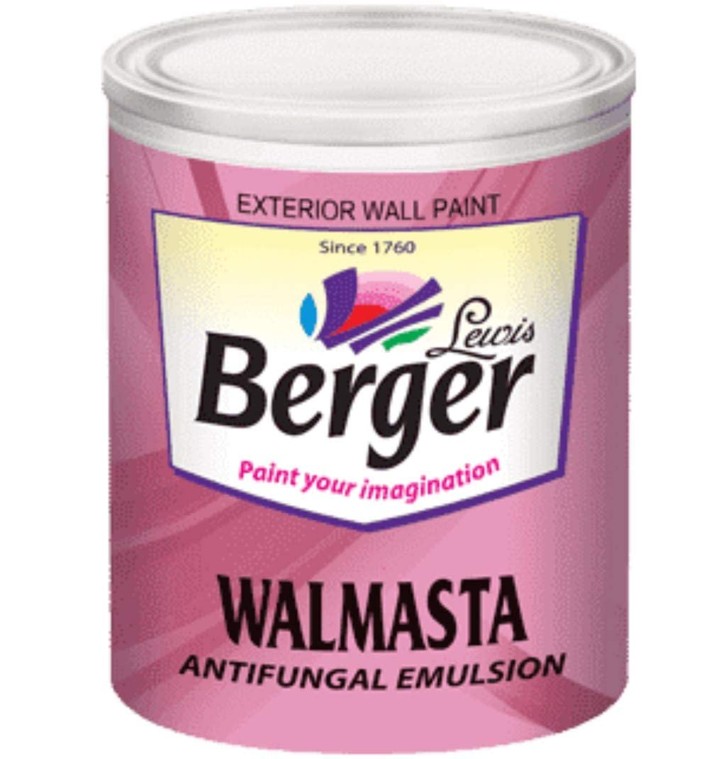 walmasta paint price