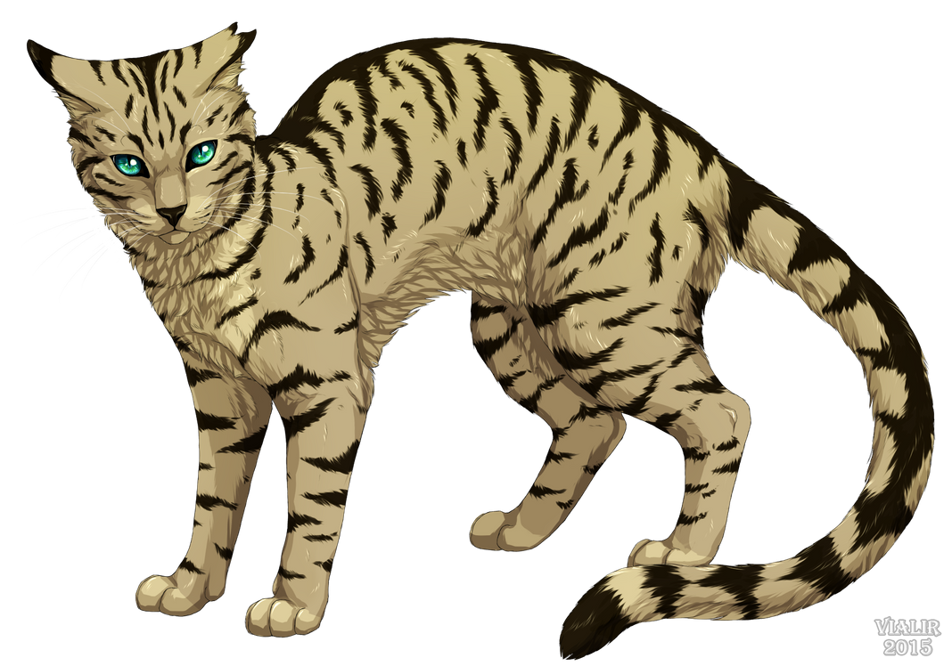 warrior cats longtail