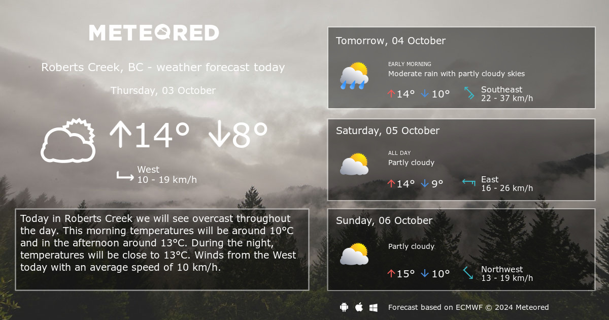 weather burnaby bc 14 day