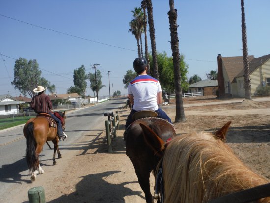 western trails horseback riding norco