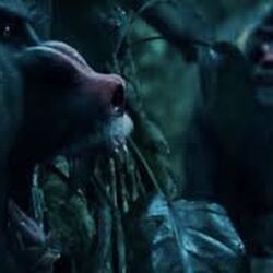 what are mutts in the hunger games