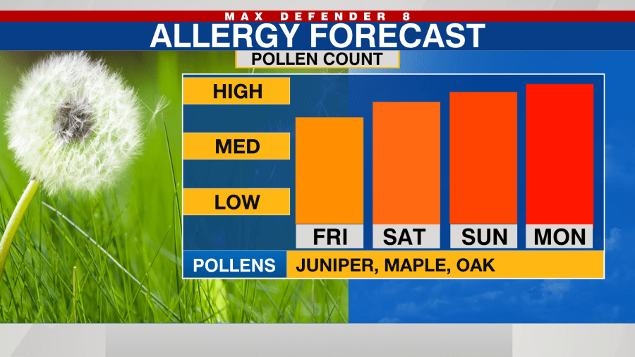 what is the pollen level today