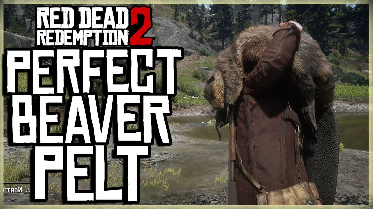 what to kill beaver with rdr2