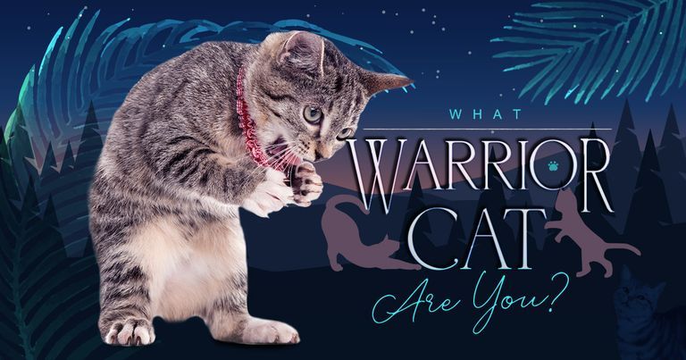 what warrior cat are you quiz