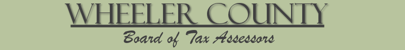 wheeler county ga tax assessor
