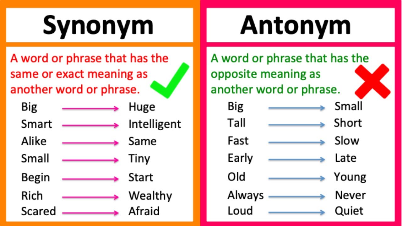 which mean synonym