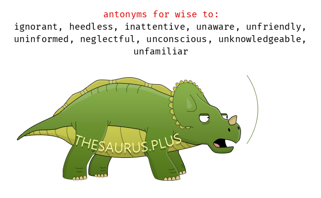 wise antonym