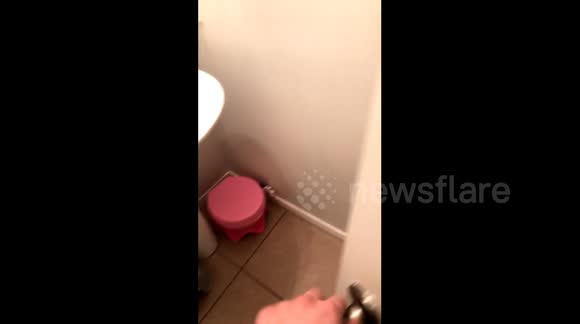 women pooping videos