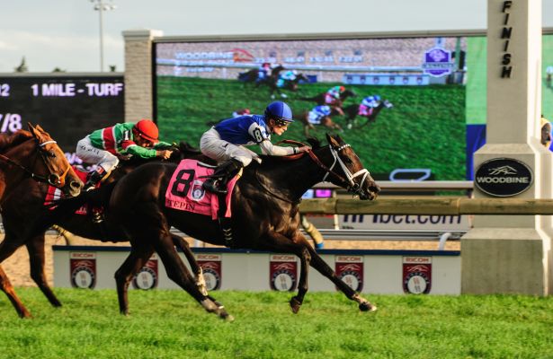 woodbine races results