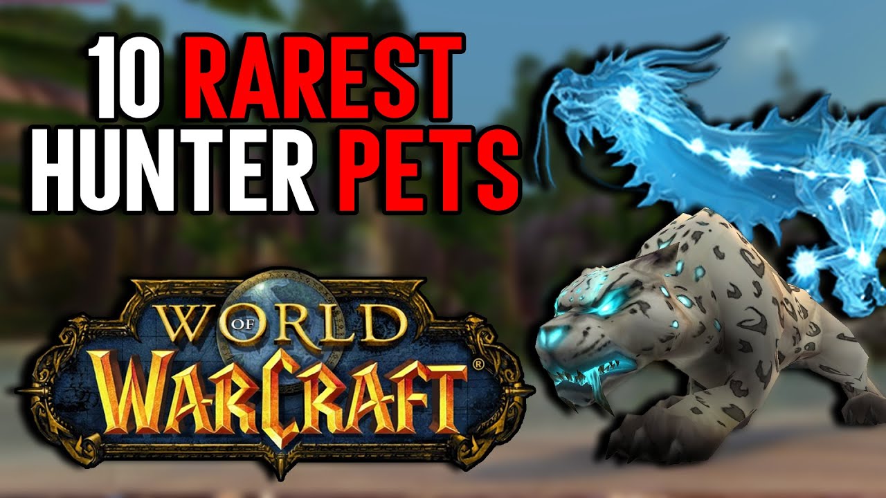 world of warcraft best hunter pets