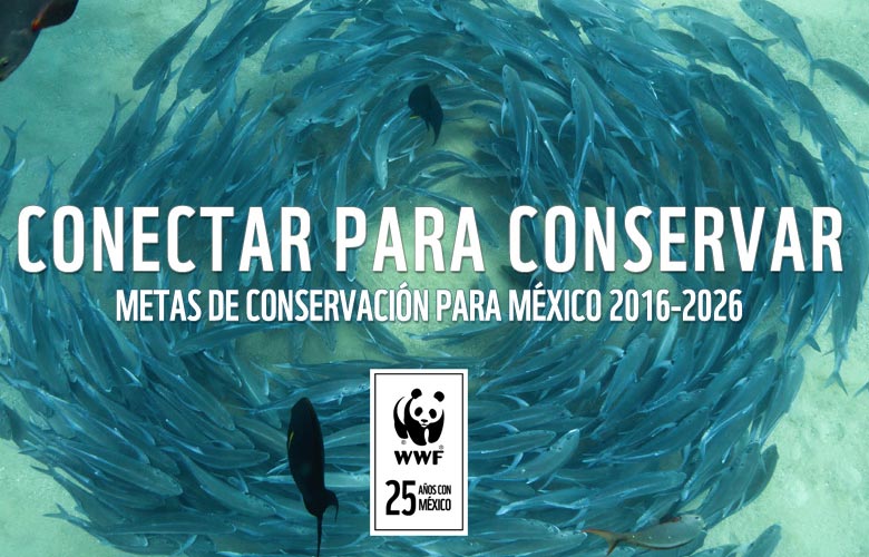 wwf méxico