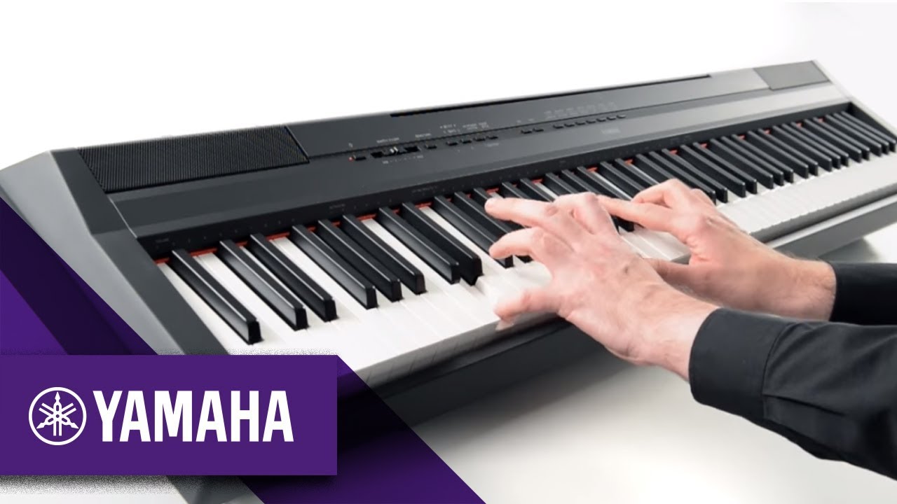 yamaha p-115 digital piano